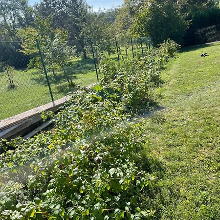 Alloggio in famiglia Le Calme De La Campagne A Deux Pas De Paris Vert (Yvelines)
